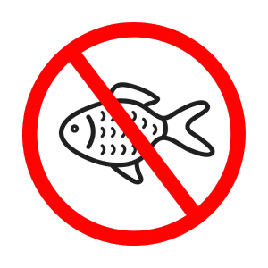 no fish